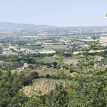 La Quercia Di Mamie Casa Con Piscina Privata Сasa de vacaciones *