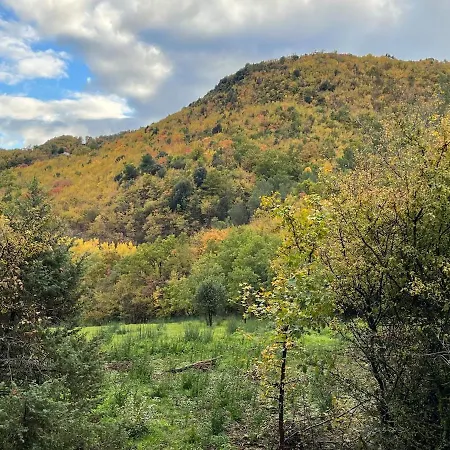 La Quercia Di Mamie Casa Con Piscina Privata Spoleto