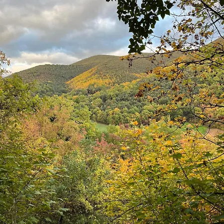 La Quercia Di Mamie Casa Con Piscina Privata * Spoleto