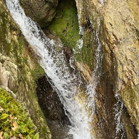 La Quercia Di Mamie Casa Con Piscina Privata Spoleto