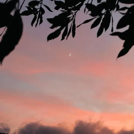 La Quercia Di Mamie Casa Con Piscina Privata