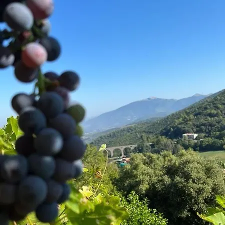 La Quercia Di Mamie Casa Con Piscina Privata Spoleto
