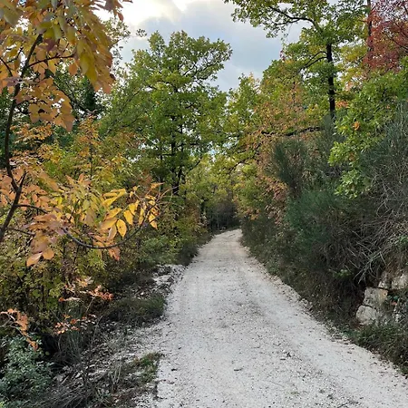 La Quercia Di Mamie Casa Con Piscina Privata
