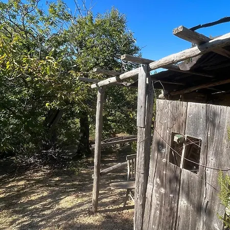 La Quercia Di Mamie Casa Con Piscina Privata * Spoleto