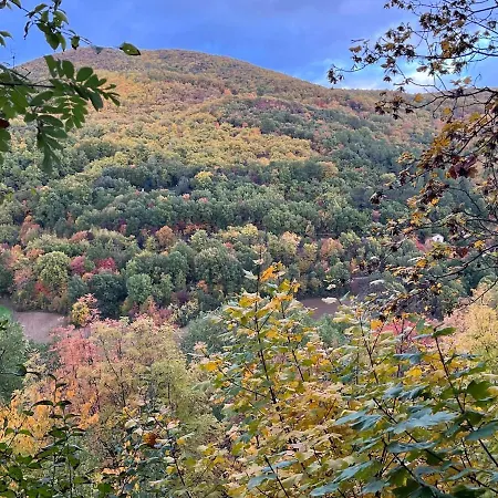 La Quercia Di Mamie Casa Con Piscina Privata