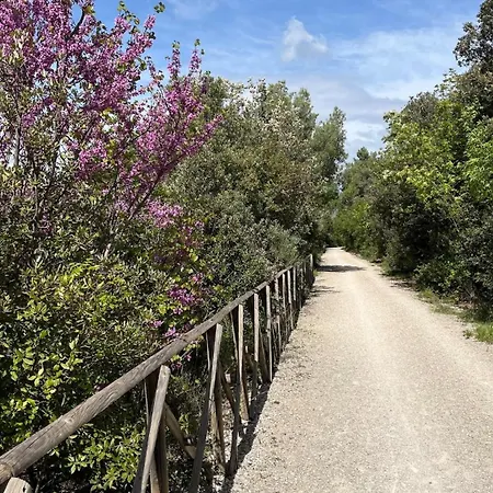 Сasa de vacaciones La Quercia Di Mamie Casa Con Piscina Privata