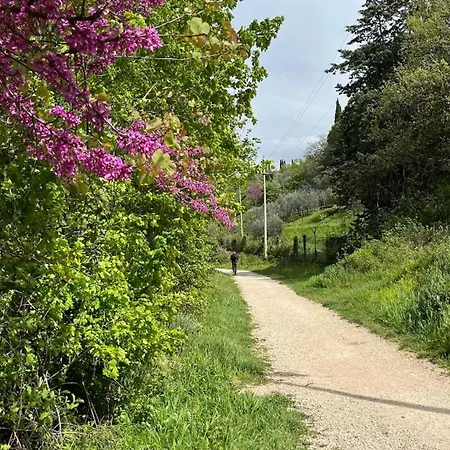 La Quercia Di Mamie Casa Con Piscina Privata Сasa de vacaciones *