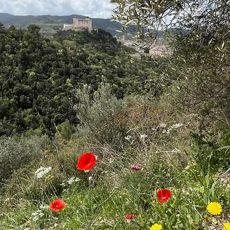 La Quercia Di Mamie Casa Con Piscina Privata Dom wakacyjny