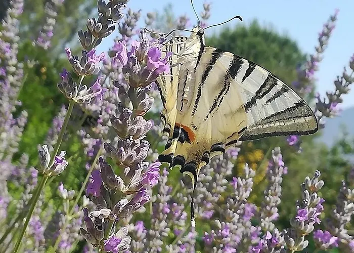 Dom wakacyjny La Quercia Di Mamie Casa Con Piscina Privata Spoleto