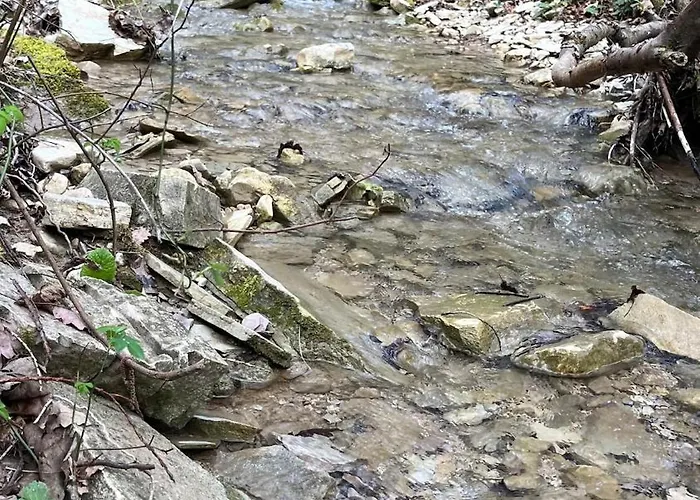 La Quercia Di Mamie Casa Con Piscina Privata Casa de Férias Spoleto