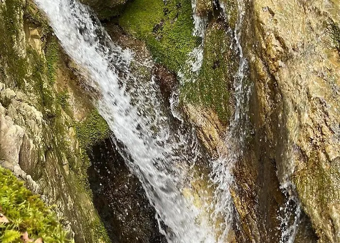 La Quercia Di Mamie Casa Con Piscina Privata Spoleto