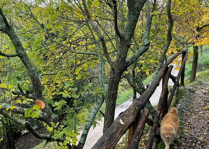 La Quercia Di Mamie Casa Con Piscina Privata Dom wakacyjny *