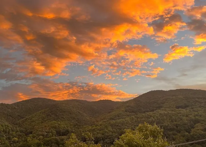 La Quercia Di Mamie Casa Con Piscina Privata Casa de Férias *