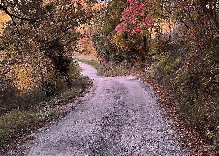 Casa de Férias La Quercia Di Mamie Casa Con Piscina Privata *