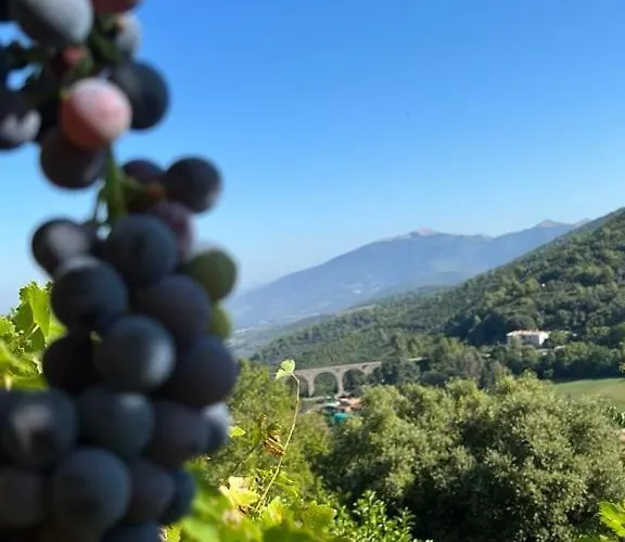 La Quercia Di Mamie Casa Con Piscina Privata Spoleto