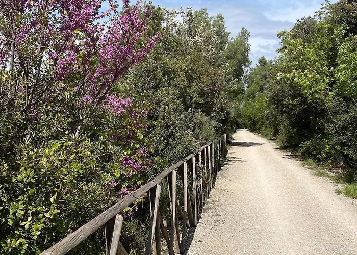 Dom wakacyjny La Quercia Di Mamie Casa Con Piscina Privata