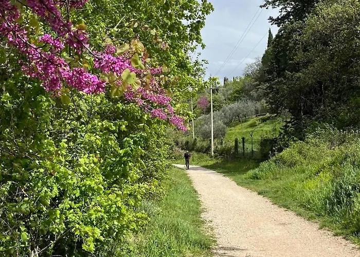 La Quercia Di Mamie Casa Con Piscina Privata Casa de Férias *