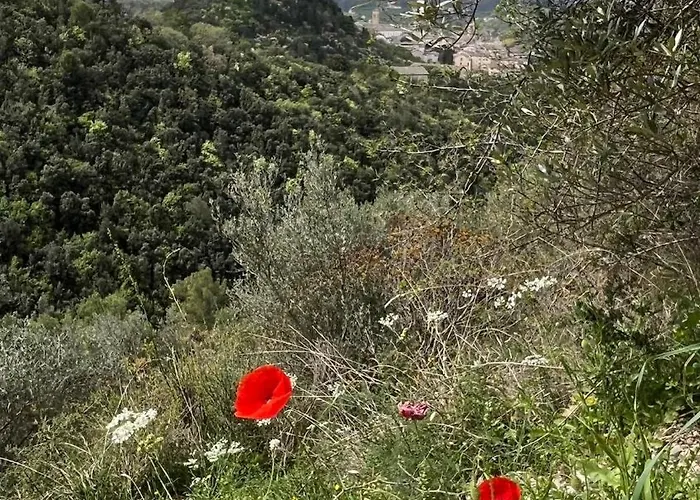 La Quercia Di Mamie Casa Con Piscina Privata Dom wakacyjny